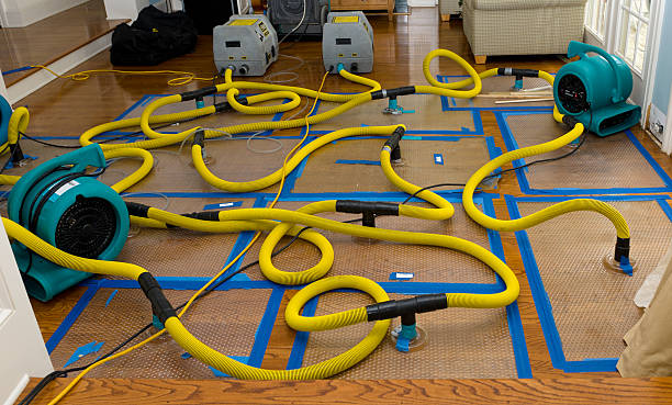 Professional Burst Pipe Water Damage technician working in Pleasantville, OH