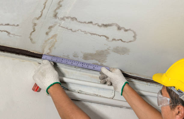 Affordable Water Damage Repair solutions in Pleasantville, OH